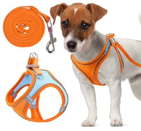 Verstellbares Katzengeschirr, Air-Mesh Atmungsaktiv Brustgeschirr mit1,5m Leine, Weich Gepolstert Hunde Geschirr, Katzenleine Kitten mit Reflektierenden Streifen, Katzen Weste (Orange, 3XS)