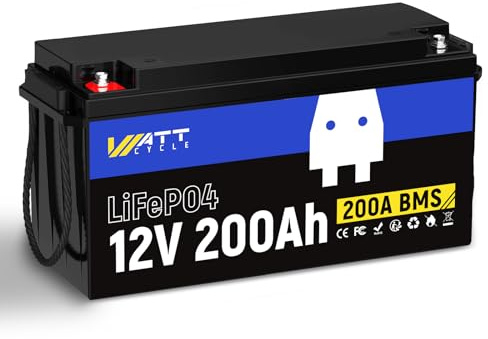 Batterie au lithium LiFePO4 12 V avec Bluetooth (12 V 200 Ah 200 BMS)