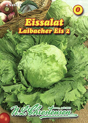 Eissalat Laibacher Eis (Portion)