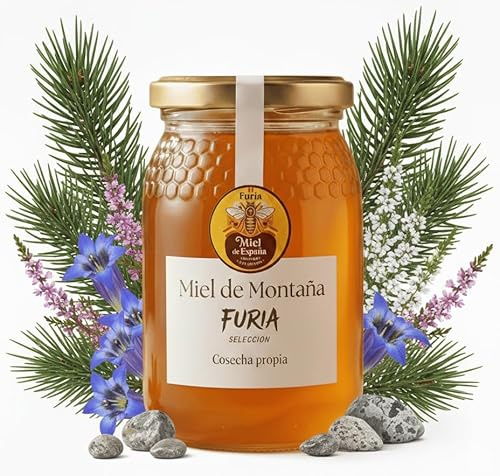 Miel de Montaña - 100% Miel Pura de Abeja, Tarro de Cristal (500g) – Cosecha Propia Ecologica Valenciana – Miel Cruda Natural Artesanal sin Pasteurizar, Gourmet y Sin Mezclas