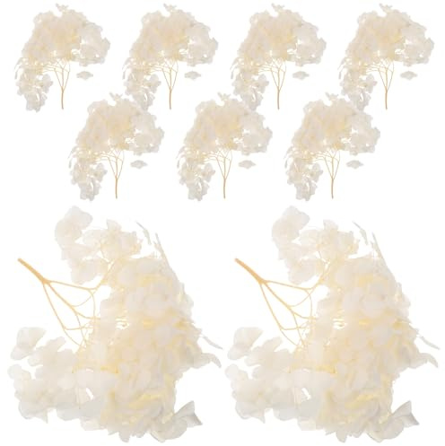 Yardwe Petali di Fiori Essiccati di Ortensia Beige da 30g per Decorazioni Eleganti, Mantenimento del Colore Vibrante, per Centrotavola da Giardino e Confetti Nuziali