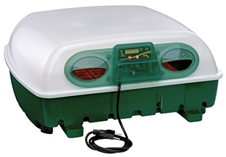 Brutapparat fuer 49 Eier, Stk