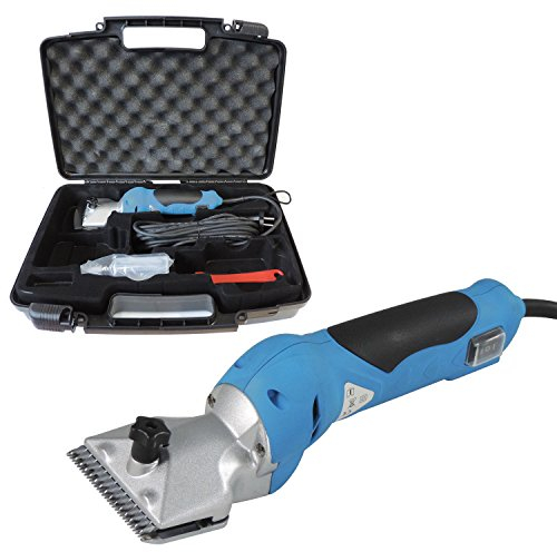 Eider EG 7720-000 Small Blue Horse