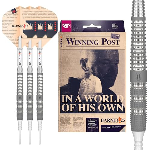 Target Darts Raymond Van Barneveld RVB 25 Year Edition 95% Wolfram Soft Tip Darts Set
