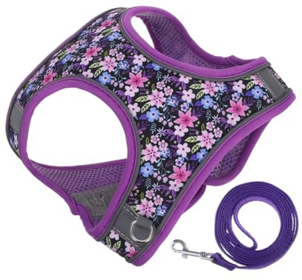 LOLIPPYY Pettorina Regolabile per Cani e Gatti Piccoli in Rete Traspirante Imbracatura Comfort per Cuccioli e Gattini Cintura Pet Sicura per Passeggiate e Viaggi