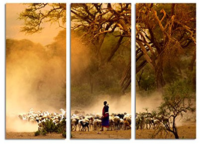 Paul Sinus Art 130x90cm – Keilrahmenbild Hirte Schafherde Afrika staubig 3teiliges Wandbild auf Leinwand und Keilrahmen - Fotobild Kunstdruck Artprint