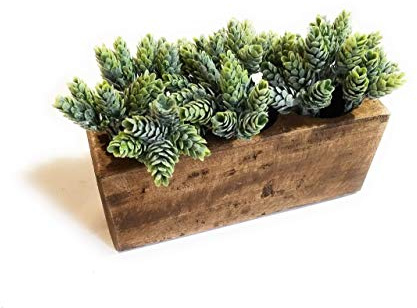 Rustic Farmhouse Wooden Candle Holder- Sugar Mold Candle Holder- Succulent Planter (3 Hole)