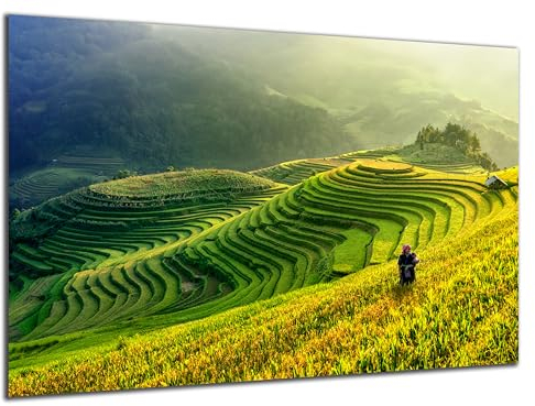 DARO Design - Wand-Bild 6mm HDF 70x50 cm Tee-anbau Plantage - Wand-Deko Bilder Wohnzimmer