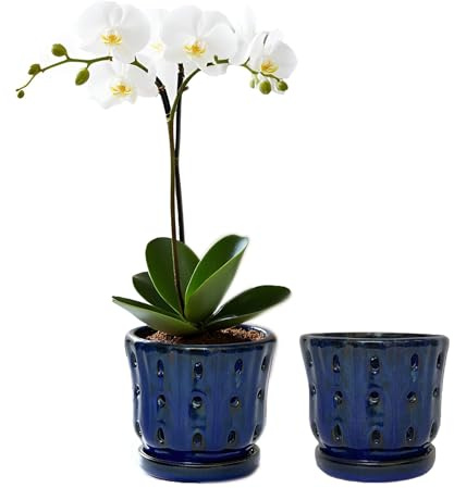 Grdthzey Orchid Pots 4.9 inch Ceramic Orchid Pots with Holes and Draiange Hole Orchid Planter Set of 2 (Dark Blue) | Orchid Pots for Repotting with Attached Saucer,Glazed Ceramic Orchids Pots for Indoor&Outdoor