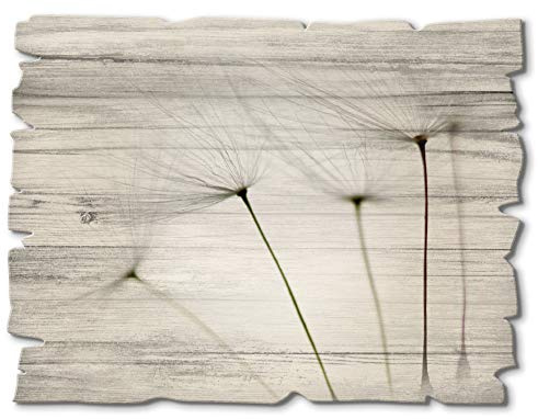 ARTland Wanddeko Bild aus Holz Holzbild vintage Deko 40x30 cm Querformat Botanik Blumen Pusteblume Landhausstil T5SQ