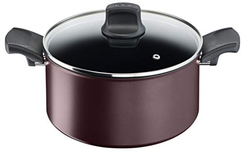 Tefal Character C6874602 Kochtopf, 24 cm, antihaftbeschichtet, für alle Herdarten und Induktion, Titan extra langlebig
