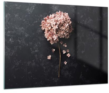 Bilder auf Glas Blume Hortensie Natur Glasbild 70x50cm Wandbilder Dekoration Wohnzimmer Schlafzimmer Küche Deko Klein Wanddeko Bild im Glas Wand Kunstdruck Art Modern Wall Decor GAA70x50-5244