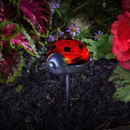 garden mile Confezione da 3 luci a energia solare a forma di coccinella, per illuminazione da giardino, vialetto, vialetto, giardino fatato, decorazione ornamentale, 3 pezzi
