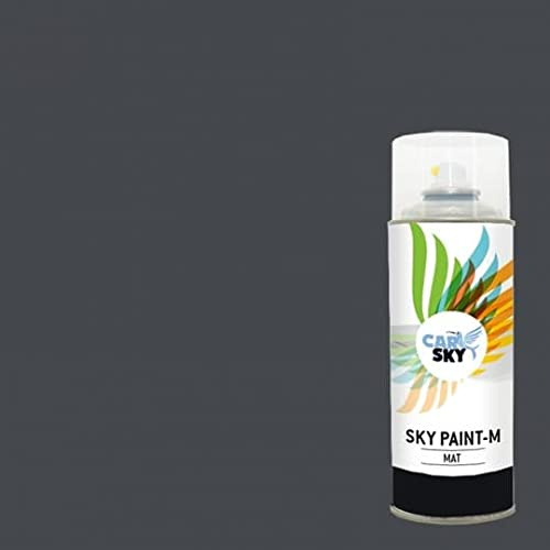 CARSKY Sprühfarbe RAL Grau Graphit 7024 Mattes Finish 400ml