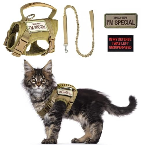Set di pettorina tattica per gatti e guinzaglio, a prova di fuga, regolabile, con toppe, morbida imbottitura in rete, manico in gomma, facile da controllare (imbracatura e guinzaglio kaki)
