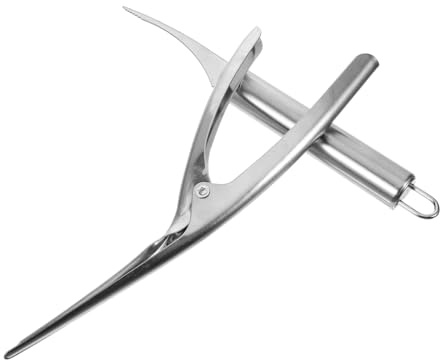 TOPBATHY Squamatore per Pesci Domestico in Acciaio Inossidabile Pulitore Professionale per Gamberetti Rimuovo Squame per Pesci con Pinza Ergonomico Portatile per Uso Quotidiano Pratico per