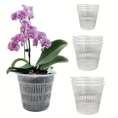 Lot de 6 pots à orchidée transparents en plastique avec trous de drainage et soucoupes, pour plantes et fleurs, kit de rempotage d'orchidée (11 cm/14 cm/16 cm) (11 cm)