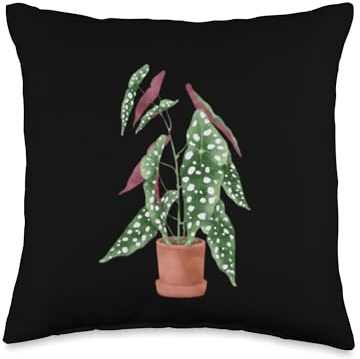 Polka Dot Begonia Maculata Gift Rare Plant Gifts Throw Pillow