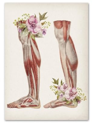 1 St Blommor Organ Människokroppen Anatomi Medicin Väggkonst Dukmålning Nordiska Affischer Och Utskrifter Bilder for Vardagsrumsinredning(6,10x15cm No Frame)