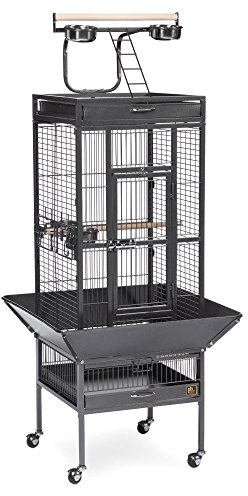 Prevue Pet Products Wrought Iron Select Bird Cage - Durable Steel Cage with Rolling Stand and Seed Guards, Ideal for Cockatiels and Medium Birds - Black Hammertone