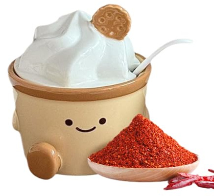 Saliera,Saliera in ceramica Design con coperchio e cucchiaio,Contenitore per sale | Per cucina casa pic-nic, ufficio, cucina, sala da pranzo, casa, campeggio, bar