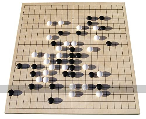 Go Masters - Starter Go Set - dual Sided Wooden Board (19x19 and 13x13), Plastic Stones