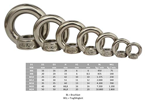 Ringmutter DIN582 Edelstahl M6 M8 M10 M12 M16 M20 M24 gegossen A2 Mutter Ring (M12)