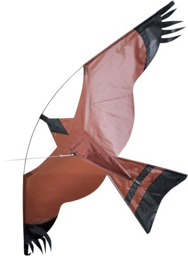 Hawk - Bird of Prey - Single Line Kite