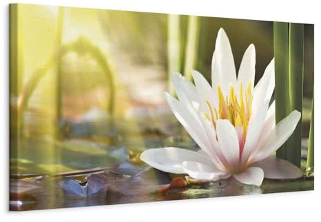 murando - Akustikbild 120x40 cm Bilder mit Akustikschaumstoff Hochleistungsschallabsorber Schallschutz Leinwandbild XXL 1 tlg Wandbild b-B-0121-b-c