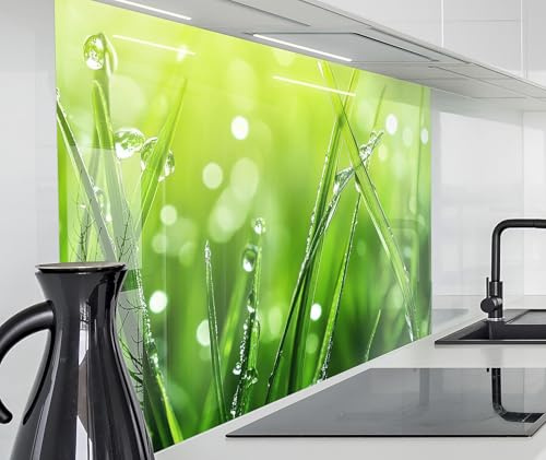 timalo Küchenrückwand Glasoptik | 60 x 40 cm Grünes Gras Wiese Tautropfen Natur | Acryl Glas 2mm | Spritzschutz Wand für Herd, Küche Glasrückwand Acrylglas Wandpaneele Rückwandschutz Platte