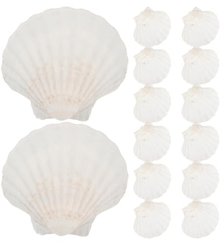 GLEAVI 20 Conchiglie di capesante per la Cottura al Forno: Conchiglie di capesante riutilizzabili per la Cottura e Il Servizio - Stoviglie di Conchiglie Naturali per Barbecue, di Mare e Decorazioni