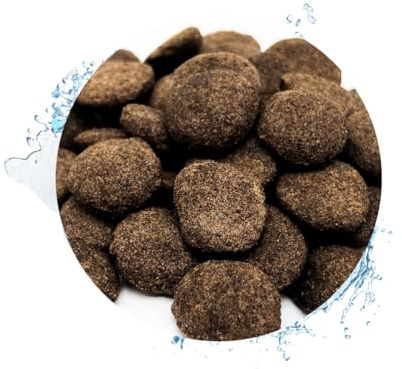 Warnick's Fischfutter Koifutter Hanzam Koisnack - 3 kg | Beliebter Koisnack & Koifutter - Schmackhafter Leckerbissen für Koi & Teichfische - Naturbelassen