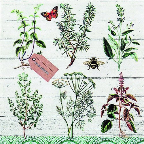 20 Servietten Pflanzenbestimmung/Garten/Blumen/Sommer 33x33cm