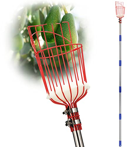DonSail Obstpflückerstange mit Korb, Teleskop, Zitrusorange Pflückerstange mit Korb, 88,9–381 cm langer Griff, Mango-Avocado-Feige, , Birne, Pomelo, Kirsche, Zitronenpflücker für Baum
