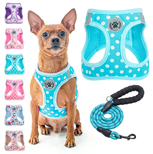 BEAUTYZOO Step in Hundegeschirr und Leine, gepunktetes Muster, reflektierend, kein Ziehen, kein Würgen, Welpengeschirr für XXS / XS / S, Hunde und Katzen, weich gepolstertes Netzgewebe, für Mädchen