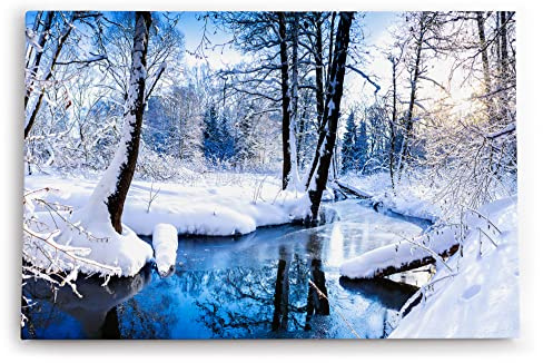 Paul Sinus Wandbild 120x80cm Bach im Wald Winter Schnee Winterlandschaft Weiß
