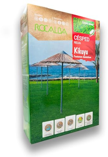 Césped Kikuyu 1 KG Pennisetum Clandestinum - Semillas de Césped Grama de Alta Resistencia y Bajo Mantenimiento - Grama Gruesa - Rendimiento hasta 150 m2 - Resistente a sequía y salinidad - Rocalba