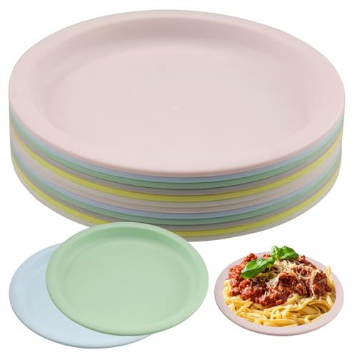 duisoad 12 Pièces Assiettes en Plastique Rigide Assiettes Incassables Assiette Plastique Assiette de Camping pour Salades, Fruits, Pâtes et Snacks, Réutilisable