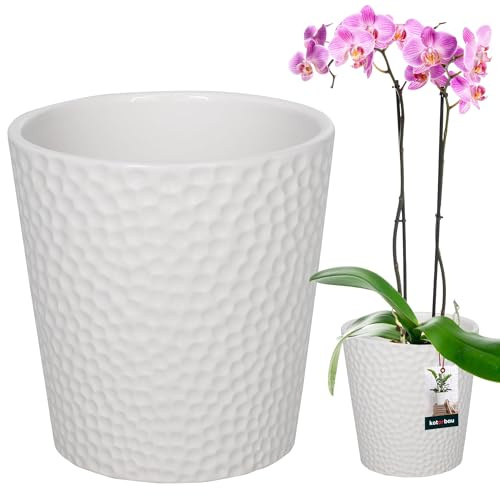 KOTARBAU Pot de Fleurs en céramique émaillée, Blanc, diamètre : 12 cm, Hauteur : 15 cm, Pot à orchidées, Moderne, pour Plantes d'intérieur