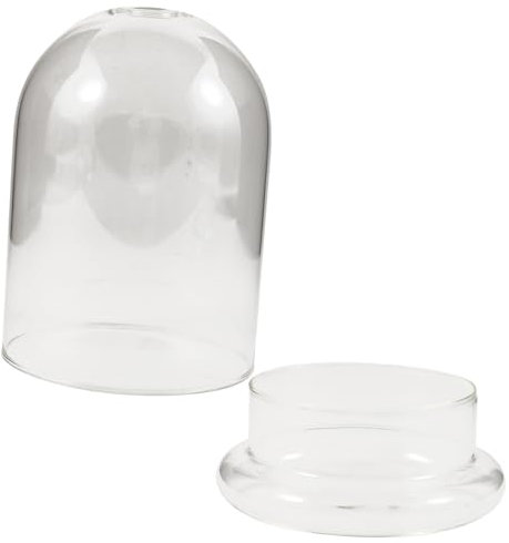 BESTYASH Cloche Verre Transparent pour Micro-Paysage Présentoir De Bureau Jardinière Verre Accessoire Décoratif