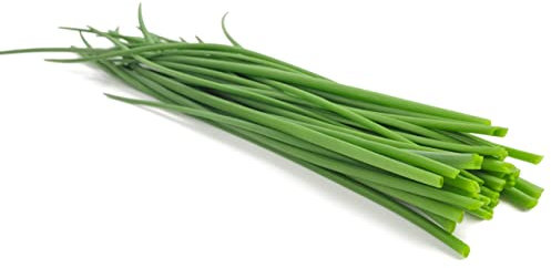 Herb Plants - Mixed Selection - Chives + Garlic Chives + Chervil - 3 x Full Plants in 9cm Pots - Herbs - Garden Ready + Ready to Plant - Indoor or Outdoor - Premium Quality Plants