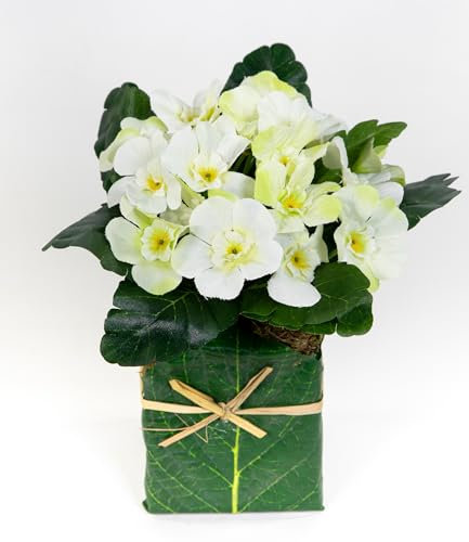 Künstliche Primel im Blatttopf 28cm PM künstliche Pflanzen Primelbusch Seidenblumen Kunstblumen Kunstpflanzen (Weiß)