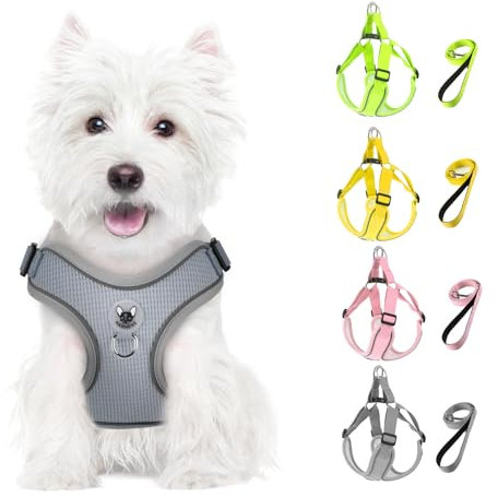 Feycig Hundegeschirr Kleine Hunde, Anti Zug Einstellbar Reflektierend Geschirr, Atmungsaktiv Weiches aus Mesh Geschirr Hund Leichtes Welpengeschirr Brustgeschirr mit Griff (Grau, Medium)