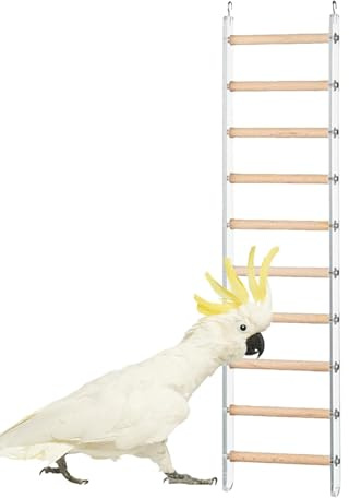 Fågelstege | Conure Cage Stand tillbehör – rolig stegleksak för träning, med 360° roterbar , för lovebirds, papegoja, undulater och andra små, medelstora fåglar