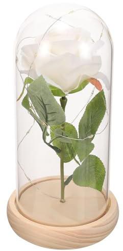 Veemoon Rose Éternelle Blanche sous Cloche en Verre Socle Clair Décoration de Fleur Préservée pour Saint-Valentin Présent Romantique et Ornement Solide pour Maison et Bureau