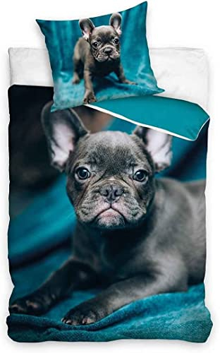 Carbotex Bettwäsche Wendebettwäsche Französische Bulldogge edles Design Schwarz/Petrol 100% Baumwolle 140 x 200cm + 70 x 90 cm