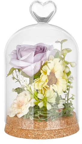 BENECREAT 16.4x9.1cm Glass Display Dome, Dome Decorative Jar Glass Bell Jar with Cork Base for Flower Storage, Specimens, Crafts Decorations