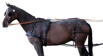 PFIFF Einspännergeschirr ´Standard´, schwarz Shetty