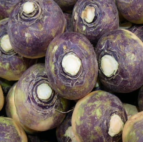 PREMIER SEEDS DIRECT Swede - GOWRIE - 5 Grams