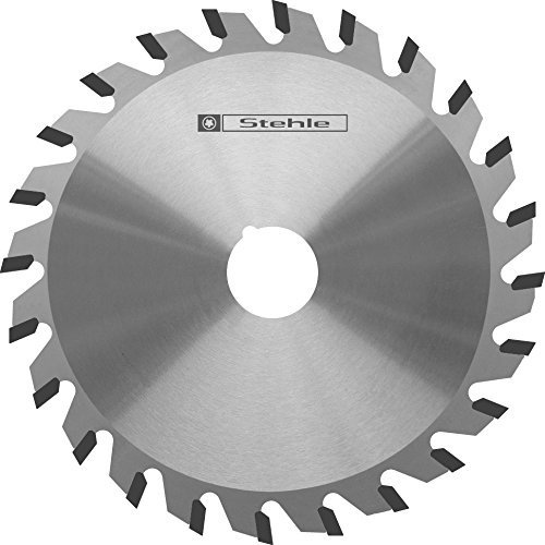 Ritz-Kreissägeblatt 100x3,2-4,0x20 Z20 Konisch-Flachzahn - nn-System Hartmetall